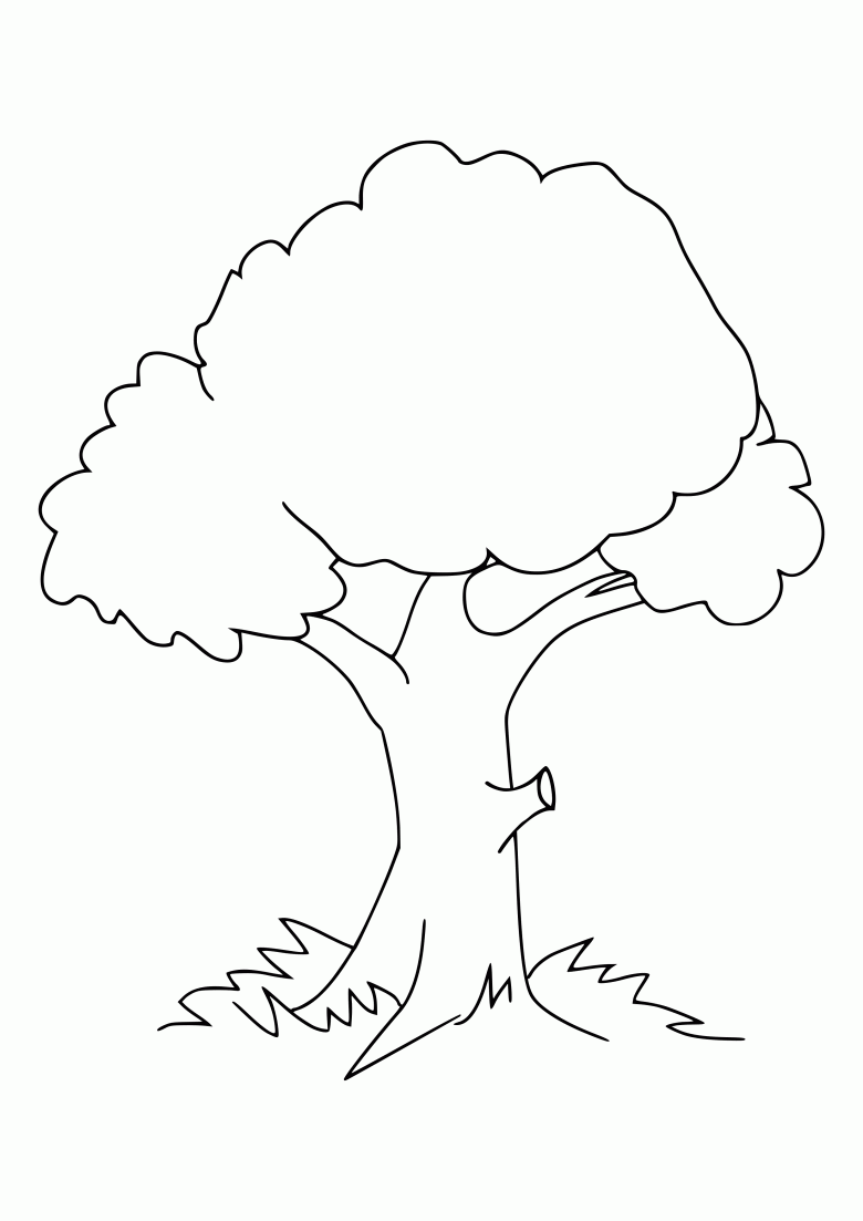 Scorch Credentials landlord Cum să desenezi un copac cu un creion - instrucțiuni ușoare pas cu pas  pentru copii și începători